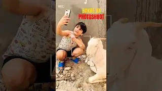 Bakra Eid 2025 | Bakre Ka photoshoot | Eid ul Adha 2025 #shorts #funny #bakraeid #bakra