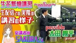 葬儀 家族葬 生花祭壇 花祭壇 挿し方 作り方 デザイン
