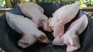 Cooking Pig Ears Recipe | Braised Tasty Pig Ears Eating Delicious