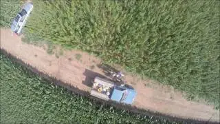 Historic 2016 Virginia Hemp Planting to Harvest Compilation