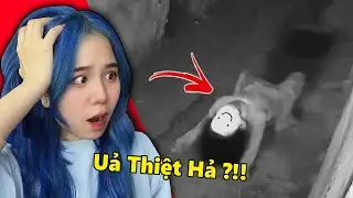 Đừng Xem Video Này Một Mình..!! | Mèo Simmy Reaction Video Siêu Lạ Trên Tik Tok |