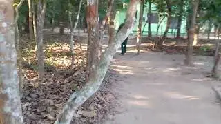 pilibhit tiger reserve video15-12-2022 || Chuka Beach Pilibhit || chuka Eco Tourism pilibhit ||