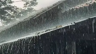 Soothing Tropical Rain in a Small Village 🌿 Natural Sleep Ambience