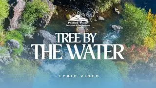Psalm 1 KJV Song - Like a Tree Planted by Water | Psalms Peace