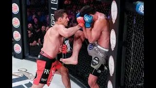 UFC & MMA Fighters REACTS to Rory MacDonald defeating Neiman Gracie via decision at Bellator 222