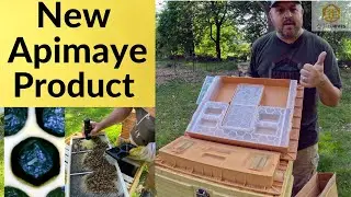 New Apimaye Feeder & 7 Frame Apimaye Inspection