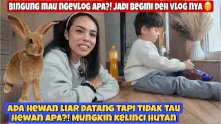 KEADAAN SEKITAR RUMAH KAMI SETELAH BADAI SALJU BERMINGGU MINGGU || VLOG PEDESAAN UKRAINA 