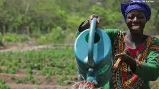 The Republic of Guinea & (The African Soul International)