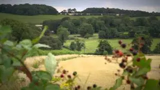 Visit Winchester: Military Trail
