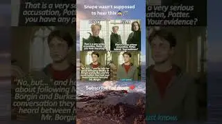 Changes for a book adaptation 🧙🪄 #funny #books #movie #hogwarts #memes #hogwartslegacy #harrypotter