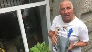 Pete Price is at Baby E Coffee & Deli on Dale Street