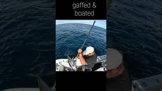 The Ultimate Offshore Tuna Fishing Adventure #fishing