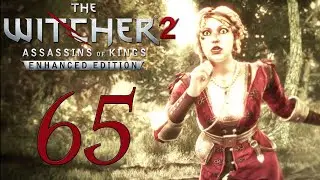 Verr&auml;ter in Temerien 🐺 The Witcher 2: Assassins of Kings [65]
