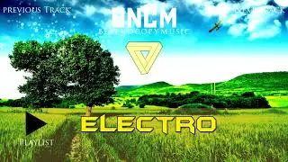 Chronic Maze - Backsynth [Privated BestNocopyMusic]