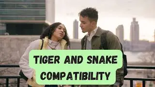Tiger & Snake Love Match Secrets Unveiled compatibility