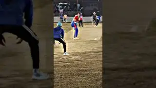 #new #viral #trending #cricketmatch