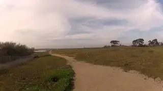 Openpilot CC3D OAT Bicopter