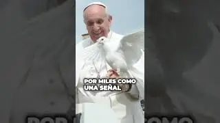 La verdad de las palomas blancas del Vaticano en el funeral al Papa Francisco 🕊️🤔 #Shorts