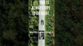 Seizing the Moment: Embracing Righteous Action | SVMediaHub  #svmediahub #quotes #motivation#mlkjr