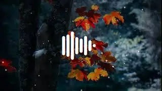 9XM Smashup 230 - DJ Notorious | Special Mashup | Mashup 2020 | Beats City