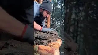 #camping #nature #survival #outdoors #living #building #shelter #treehouse #trees #forest