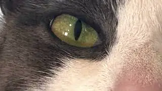 Macro Snippets | Little play time