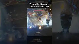 WHEN THE SUPPORT BECOMES THE DPS