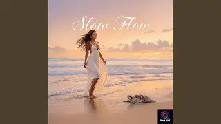 Slow Flow