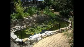 DIY Beautiful and Easy Maintenance Garden Fish  Pond