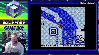 Wave Race Game Boy
