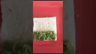 Independence#day#special# Tiranga sandwich | Tricolour Sandwich | Pushpa's Magical Recipes |
