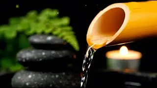 Healing Relaxation Music 🌿 Bamboo Water Fountain for Anxiety Relief
