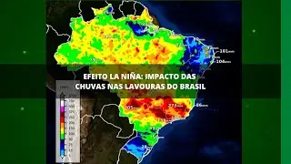 Impact of rains on crops in Brazil
