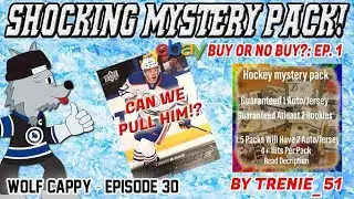 EBAY HOCKEY MYSTERY PACK! Buy Or No Buy Series: Part 1: Trenie_51 - Wolf Cappy Episode 30