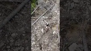 Broken KTM.. stupid rocks! Check out the full ride! #dirtbike #ktm #enduro #offroad #moto #crash