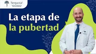 La etapa de la pubertad