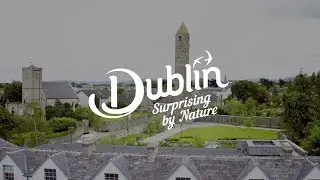 South Dublin County Dublin's Outdoors - Your grand canal experience starts here