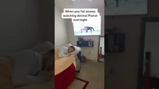 The giant horse co- THE FUCKING WHAT?!