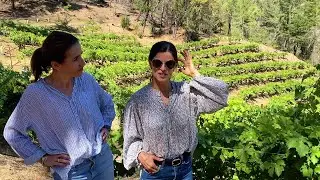 In the Vineyard at Grace Family with Kate Green and Helen Keplinger