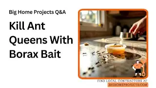 Borax Sugar Bait Strategy To Eliminate Ant Queens
