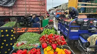 سوق الجملة بالخضر والفواكه – الدار البيضاء 🇲🇦 أسعار اليوم 3 فبراير 2026 🥦🍅