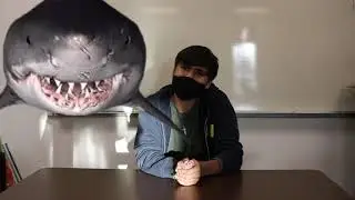 ShArctooth Broadcasting 11/30/21