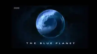 A clip of 