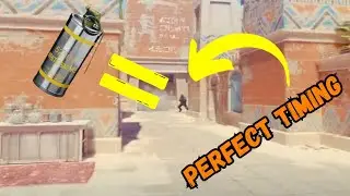 Inside cs2 (novice montage)