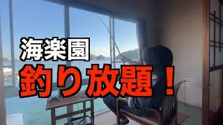 部屋から釣りができる旅館に行ってみた【海上料亭 海楽園】