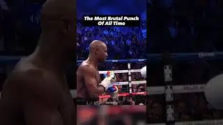 The Most Brutal Punch 🔥
