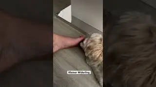 How to F&uuml;&szlig;e lutschen
