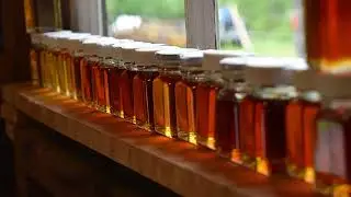 Maple Minute: Measuring Syrup Density