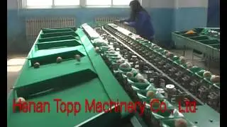 potato sorting machine,fruit and vegetable sorting machine