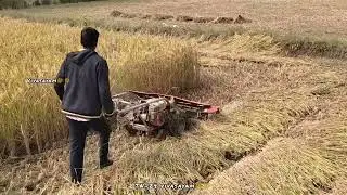 vivasayam what's app status tamil🌾 farmers status🌾 and 💥subscribe😉 now💥 நெல் அறுவடை 🌾🌾👳&zwj;♀️இயந்திரம்